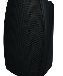 W5VB-BSC 5.25” On-Wall Indoor/Outdoor Speaker - angled view