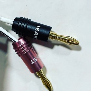 iEast Banana plugs pair - showing red and black plugs attached to speaker cable.